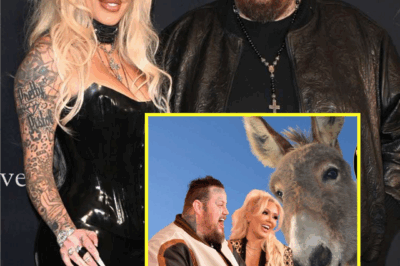 Jelly Roll’s Wife, Bunnie Xo, Shares Heartwarming Update on the Family’s Farm Animals – Including the Adorable Journey of Pony Boy and Donkey!