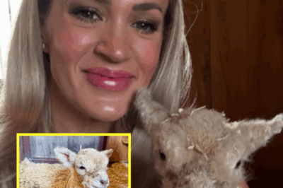 Carrie Underwood Unexpectedly Shares Heartwarming New Photos of Her Baby Lamb “Jamal” on the Farm – Fans Fall in Love with This Sweet Addition!