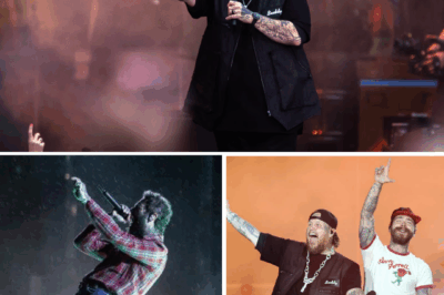 Post Malone and Jelly Roll ignited Gillette Stadium with a night of unforgettable rock star moments, delivering electrifying performances that earned them undeniable status among the legends. From powerhouse vocals to crowd-pleasing anthems, their setlist was a rollercoaster of emotion and energy that left fans breathless and begging for more.