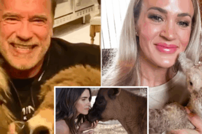 Hollywood Goes Haywire: Stars Who’d Rather Be in a Barn Than on the Red Carpet. Who needs the Met Gala when you’ve got goats to groom? More and more celebrities are embracing a slower, simpler life — and yes, that includes feeding pigs and cuddling donkeys. Arnold Schwarzenegger shares his morning coffee with a pony, Carrie Underwood proudly raises farm animals on her Tennessee land, and Meghan Markle has chickens descended from a rescue flock. You won’t believe which star has a turkey named after their ex.