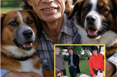 Mick Jagger has pledged $20 million to create a sanctuary for stray dogs, offering them safety, care, and the chance for a new life. The facility will include veterinary care, rehabilitation, and adoption services. This heartfelt initiative reflects Jagger’s personal commitment to animal welfare and aims to inspire others to get involved in helping animals in need.