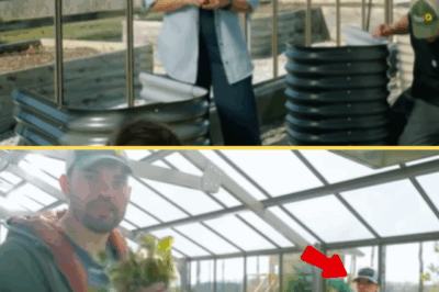 She once lit up arenas. Now, Carrie Underwood wakes to chickens, tomatoes, and Tennessee sun. Fame gave her a platform — but the farm gave her peace.