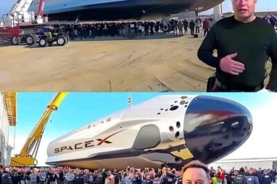 Elon Musk Unveils His Most Bizarre and Ambitious Project Yet—Superfast Global Travel Without Airplanes!
