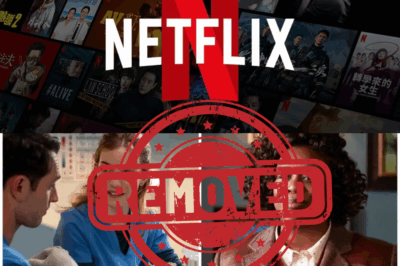 SH0CKING – Two Big-Budget Netflix Shows Were Deleted Before You Could See Them