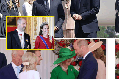 Tensions Spark as Macron’s Off-Mic Remark About Prince William Is Uncovered — Lip Reader Reveals Blunt Words