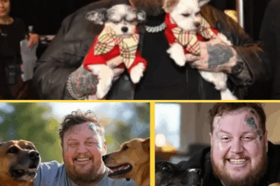 BREAKING: Jelly Roll Pledges $20M to Create a ‘Dog Paradise’ for Abandoned Pets