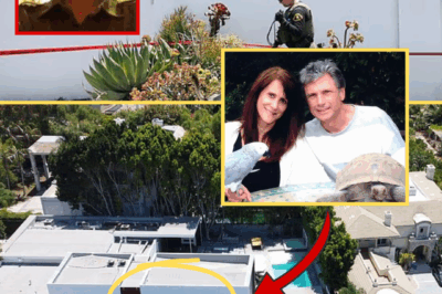ROCK THE WORLD: ‘American Idol’ Executive and Husband ASS:ASSI:NATED in Los Angeles Home – Police Immediately Arrest Main Suspect as Chil:ling New Details Emerge