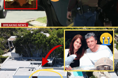 “THE TRUTH FINALLY EXPOSED” – ‘American Idol’ Supervisor and Husband MURDERED in Their Los Angeles Home – Police Immediately Find Shocking Evidence and Arrest Main Suspect
