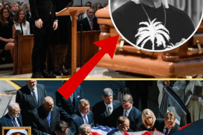 Ed Sheeran and Celine Dion Honor Hulk Hogan with Heartfelt Duet at His Funeral