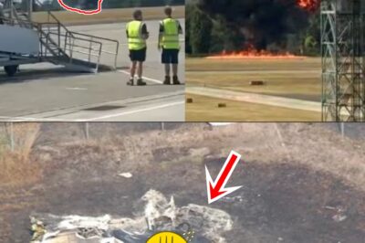 “WE CAN’T HOLD IT!” – Moments Before Impact, Dutch Pilot Leaves Chi:lling Last Message in Southend Trag:edy That Stunned Rescuers