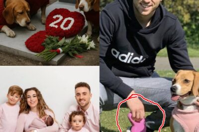 “They waited for him… as if he’d come back”: Diogo Jota’s Dogs Refuse to Eat, M0urn Beside His Grave in a Heartbreaking Display of Loyalty