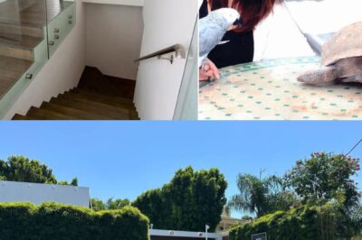 The Most Chi:lling Detail: The Single Clue That Led Police to the Suspect in the Gruesome Mu:rder of American Idol Executive and Her Husband Inside Their LA Mansion
