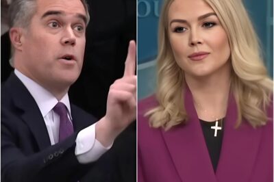 Unbelievable Fallout! NBC Veteran Peter Alexander Left STUNNED After Explosive On-Air Clash with Karoline Leavitt — Viewers Say “It Went TOO FAR!”