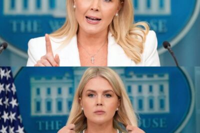 “She Really Said That?!” — Karoline Leavitt’s Bizarre Truмp Claim Sparks Outrage and Disbelief Across the Nation!
