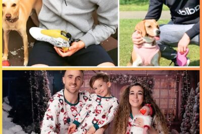 Diogo Jota’s Beagles REFUSE to Eat for Days — The Real Reason Has Fans in Tears!