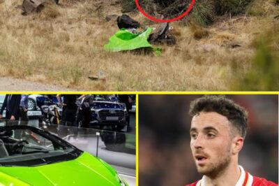 “IT WAS ALL BECAUSE OF THE CAR” — Police Reveal Sh0cking Evidence of a Critical Flaw in the Lamborghini Driven by Diogo Jota on That Fateful Day!