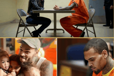 From Ex to… Daddy? Chris Brown Stuns Fans With Sh0cking Paternity Hint About Rihanna’s New Baby