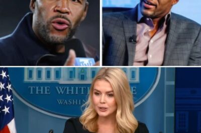 “Sit Down, Barbie?” — NFL Star Fires at Karoline Leavitt Live, Only to Be Silenced by a Single Br:utal Comeback That Shakes the Studio