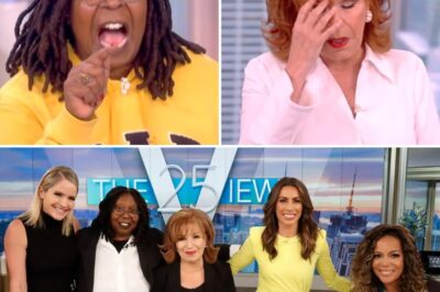 AFTER 20 YEARS, IT’S OVER! ABC Abruptly Cancels ‘The View’ — What Dark Secret Is Hiding Behind This Sh0cking Decision?