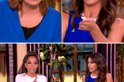 Behind-the-Scenes Clash? 🔥 Alyssa Farah Griffin Snaps at Joy Behar During Fiery ‘The View’ Showdown — Hidden Tensions Finally Boil Over On Air