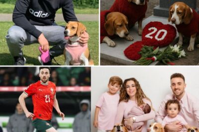 “A Silent Grief” — Diogo Jota’s Dogs Face Tr:agic Fates One by One After Their Final Goodbye at His Grave