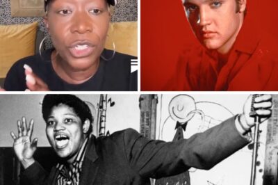 Sh0ck Claim! Former MSNBC Star Launches Att:ack on Elvis Presley — and Insists His Famous Title ‘The King’ Hides a Dark Secret