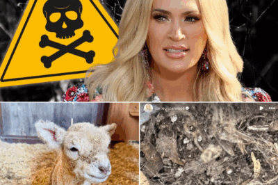 What started as a peaceful afternoon in the garden turned into something straight out of a nightmare. Carrie Underwood was just tending to her plants — until she spotted something d3.adly hiding in the dirt.
