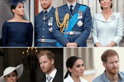 “Crossing the Line”: Prince Harry Faces Royal Backlash Over Comments About Kate Middleton