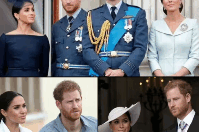 Royal Rift Explodes: Prince Harry’s “Unforgivable” Attack on Kate Middleton Shakes the Palace to Its Core
