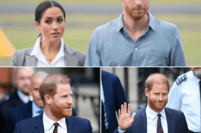 “Just Say Sorry”: The One Thing Prince Harry Must Do to End the Royal Feud — Inside the High-Stakes Standoff Between the Warring Windsor Brothers