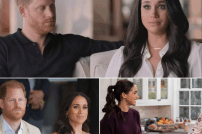 Meghan Markle and Prince Harry’s Netflix “Split”: Why Their New Roles Could Make or Break the Sussex Brand