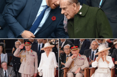 Prince Harry’s Secret Olive Branch Revealed: The Hidden Letter to King Charles That Could Finally End — or Explode — the Bitter Royal Feud