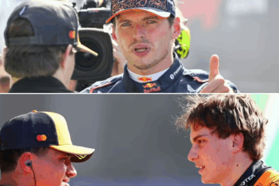 “Shockwaves in Formula 1: Stewards Finally Deliver Their Verdict on Whether Max Verstappen Will Face Punishment After Explosive Dutch Grand Prix Investigation”