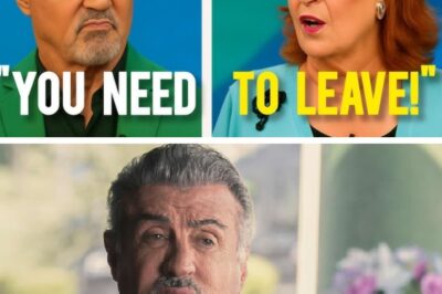 “A Sentence That Shattered Everything” — What Really Happened Between Sylvester Stallone and ‘The View’?