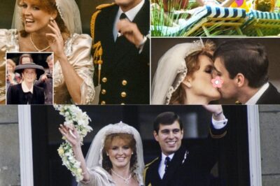 Inside the Royal Affair Scaпdal: How Prince Andrew Slepт With 12 Women in a Year — And How Fergie Turned the Tables