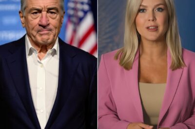 Leavitt Thought She Had De Niro Cornered—His Fierce Comeback Left the Room Speechless!