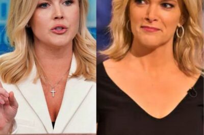 Leavitt’s Lawsuit Brings The View to Its Knees—Kelly’s 12 Words Fuel Media Frenzy!