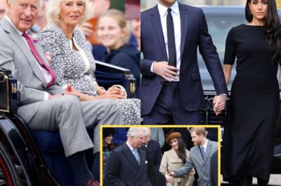 Meghan Markle’s Second Chance DENIED — What Really Happened After Harry Begged for Reconciliation