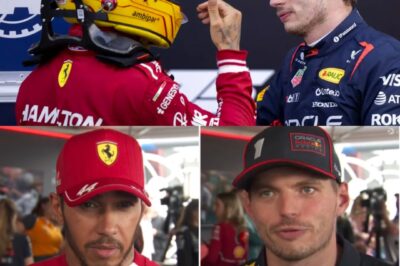 Hungary Grand Prix Drama: New Clues Could Change Verstappen-Hamilton Outcome
