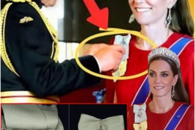 STUNNING! KING CHARLES’ RARE HONOR FOR CATHERINE AND ‘DAUGHTER’ REMARK AT FRENCH BANQUET SHOCKS ROYALS, WHILE HARRY’S NEXT MOVE KEEPS ALL OPTIONS OPEN!