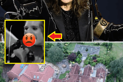 “TOO LATE FOR REDEMPTION” – Around Ozzy Osbourne’s Final Resting Place Stand Man-Made Structures Built as Shelters for Bats