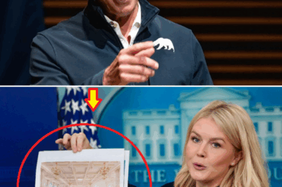 🚨 BOOM: Gavin Newsom Unleashes Blistering At:tack on Karoline Leavitt — What He Said Left the Room in Sh0ck