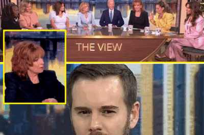 Enough is enough — it’s time to stop! – The View likened to ‘ins:an:e asy:lum’ by critic for ‘booking 102 liberal guests and NO conservatives’