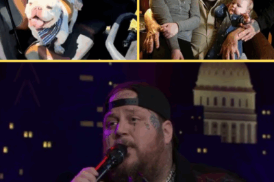 Grammy-nominated star Jelly Roll turned his late father’s dream into reality — purchasing a stunning 500-acre farm in Tennessee to honor his memory. 🐾 In a touching video with wife Bunnie XO, fans saw rolling green hills, a sparkling creek, and the quiet life that brings true joy. 🌄💛 Discover their peaceful escape far from the noise of fame! – Country Music