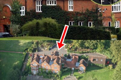 Would You Live With a Rock Legend’s Final Resting Place? Lawyers Reveal the Sh0cking Legal and Emotional Consequences of Buying Ozzy Osbourne’s Home — Complete With His Grave in the Backyard