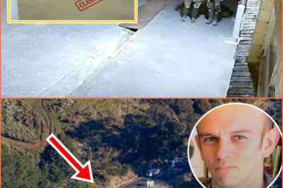 TOM PHILLIPS’ A:UTOPSY AGONY: “Fatal inconsistencies” in his wounds – back-to-front bullets, pre-sh00t bruises! Police’s “straightforward” sh00tout story SHATTERING – was it self-defense or sinister setup?