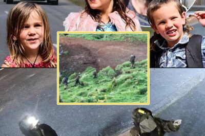 PLEASE, SAVE THEM — Psychologists Sound the Alarm on the Hidden Trauma of Tom Phillips’ Children and the Dark Reality Faced by Kids Growing Up on the Run