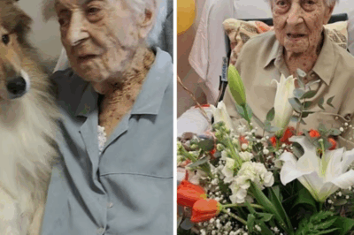 Secrets of Maria, Who Lived to 117, Finally Revealed: Experts Expose the Surprising Habit That Could Extend Your Life – Available in Your Weekly Grocery Shop