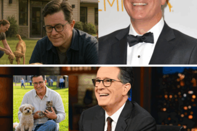 Stephen Colbert’s Quiet Revolution: From Saving Animals to Standing With Firefighters