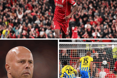 Arne Slot Furious at Hugo Ekitike’s ‘Stupid and Needless’ Red Card as Liverpool Narrowly Escape Southampton – Meanwhile, Alexander Isak Finally Breaks His Goal Drought for the Reds